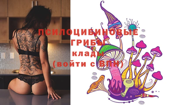 PSILOCYBIN Алексеевка