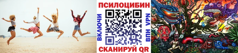 Псилоцибиновые грибы прущие грибы  OMG маркетплейс  Камешково 